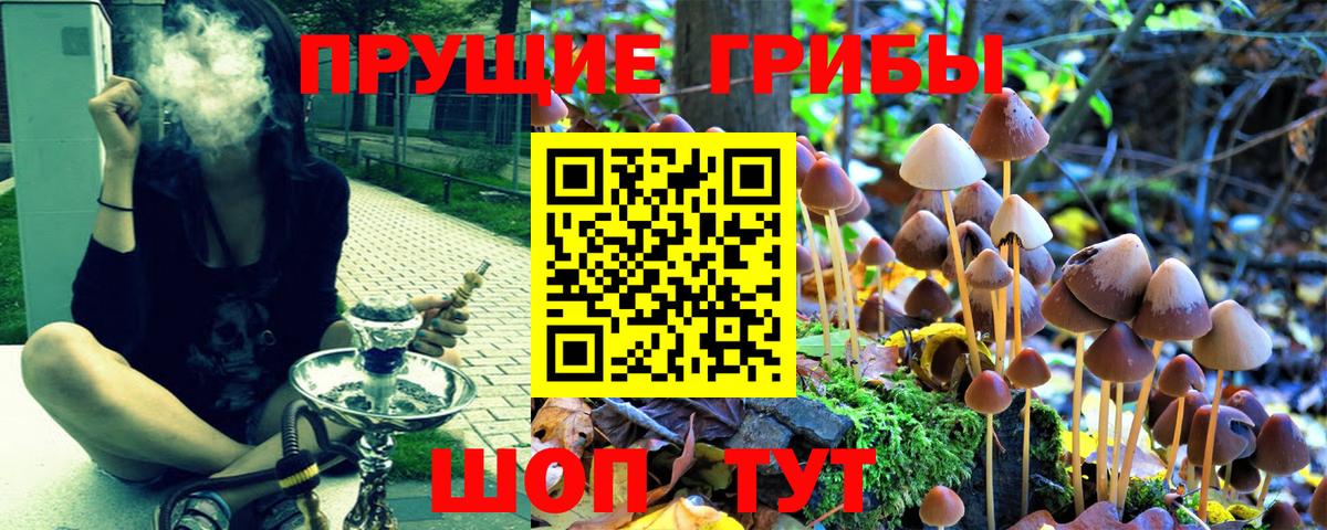 Псилоцибиновые грибы Magic Shrooms Тара